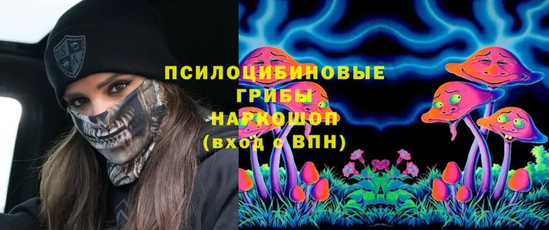 Галлюциногенные грибы Cubensis Иланский